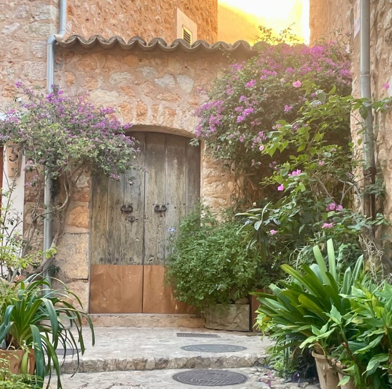 Hausbetreuung Homeservice Mallorca Holztür umgeben von grünen Pflanzen und blühenden Sträuchern in einer mediterranen Gasse auf Mallorca.